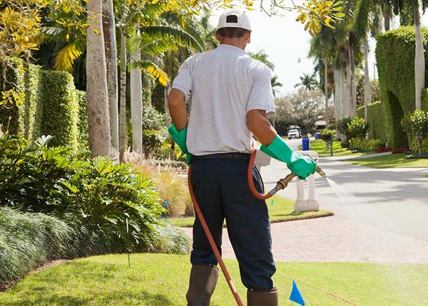 About Valdese NC Pest Control
